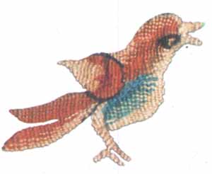 detailed c.bird pattern